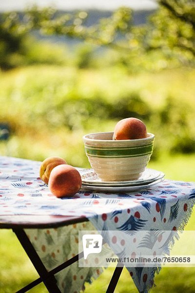 Peaches in and Beside a Bowl on an Outdoor Table