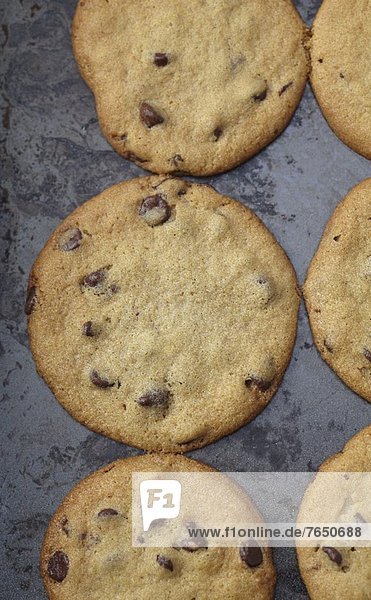 'Chocolate Chip Cookies on a Baking Sheet