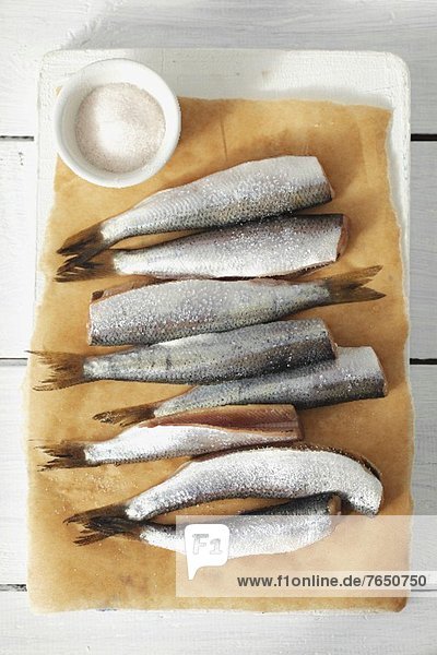 Fresh herrings on parchment paper and dish of salt
