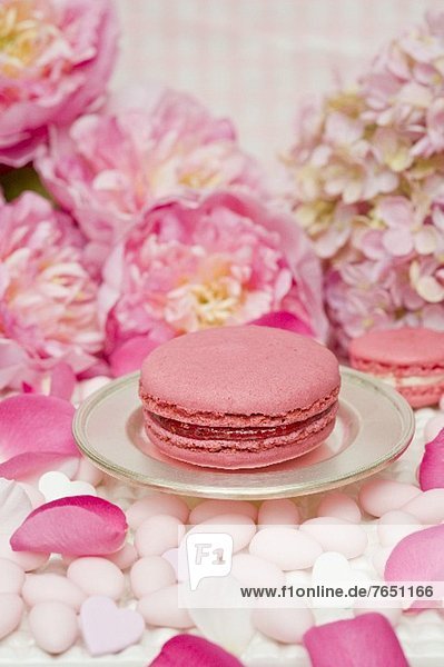 Pink Macaron auf Silberteller  umgeben von Zuckermandeln  Pfingstrosen und Rosenblättern