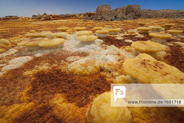 Aktivitäten Landschaft Vulkan Form Formen Dallol