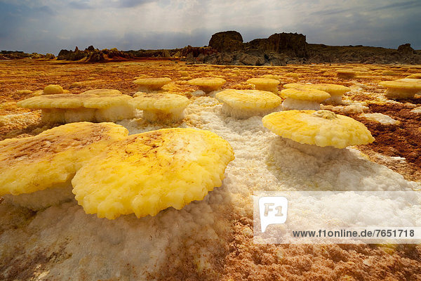 Aktivitäten Landschaft Vulkan Form Formen Dallol