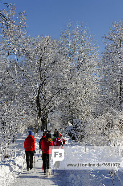 Hikers in winter  Kräuter-Erlebnis-Park herb theme park  Bad Heilbrunn  Loisachtal  Tölzer Land  Upper Bavaria  Germany  Europe