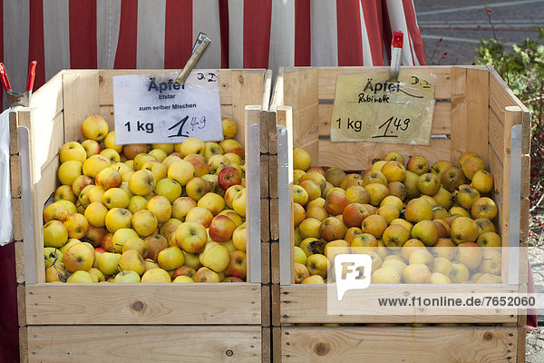 Blumenmarkt Europa Apfel Dortmund Deutschland Markt Nordrhein-Westfalen Ruhrgebiet Nordrhein-Westfalen