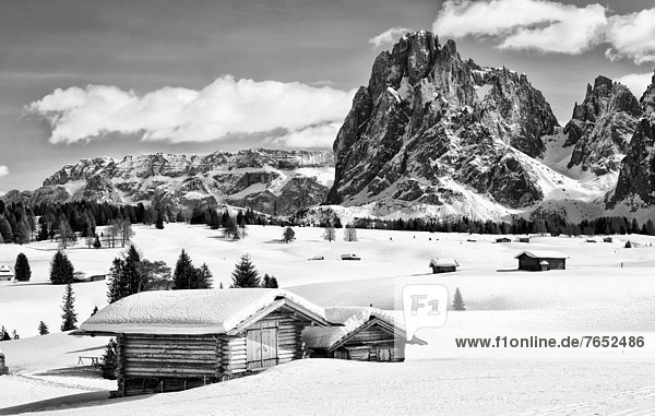 Black and white image of the winter landscape of the Dolomites with a wooden hut at the front and the peak of Sassolungo Mountain at the rear  Seiser Alm  Dolomites  Alto Adige  Italy  Europe