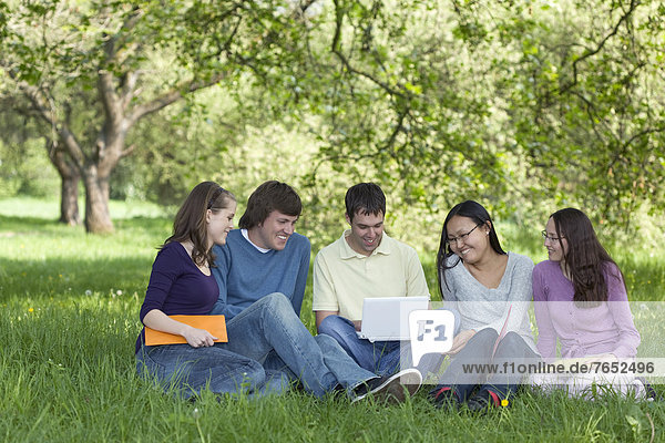 Five young students sitting on grass doing teamwork with a laptop  Hannover  Lower Saxony  Germany  Europe