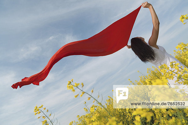 Oblique rear view of a young woman in a blooming canola field  while holding a red silk scarf to flutter in the wind  Bad Nenndorf  Lower Saxony  Germany  Europe