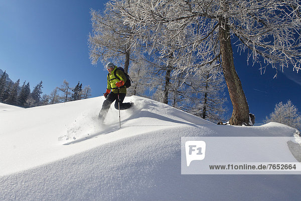 Man snowshoeing  snowshoe tour in Berchtesgaden National Park  Berchtesgadener Land  Bavaria  Germany  Europe