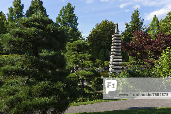 Japanese garden  Rheinaue Leisure Park  Bonn  North Rhine-Westphalia  Germany  Europe