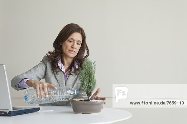Mature businesswoman watering bonsai tree