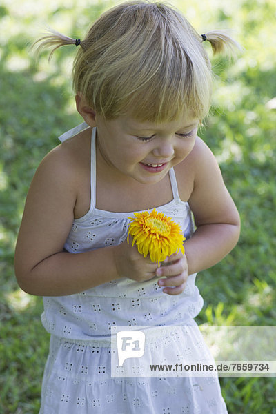 Little girl holding flower  portrait