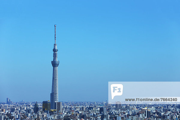 Tokyo Sky Tree and cityscape
