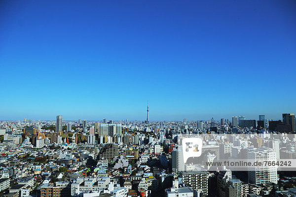 Tokyo Sky Tree and cityscape