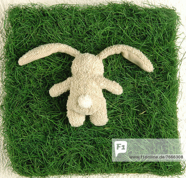 liegend liegen liegt liegendes liegender liegende daliegen Gras Kaninchen Stück
