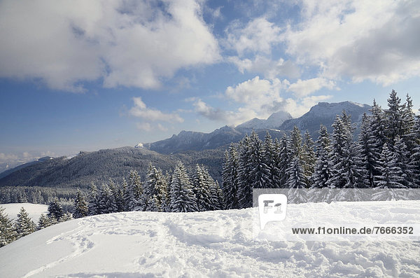 Gipfelblick vom Schwarzenberg auf tief verschneite Voralpenlandschaft und Wendelsteingebirge
