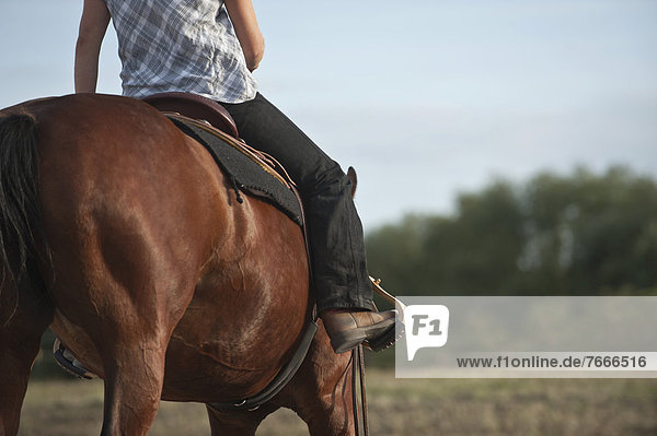 Woman on a Quarter Horse  western-style riding