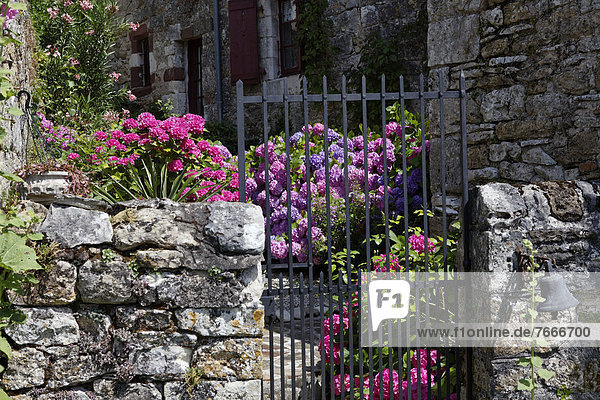 Steinmauer  Frankreich  Europa  Blume  Dorf  Eingang  Etikett  Limousin