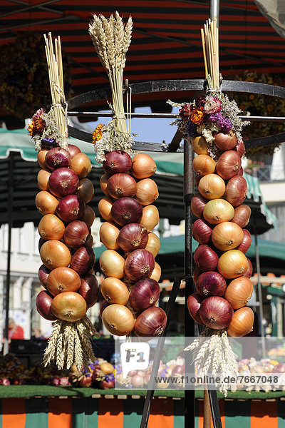 Zwiebelzöpfe aus Zwiebeln und Weizen  auf dem Marktplatz