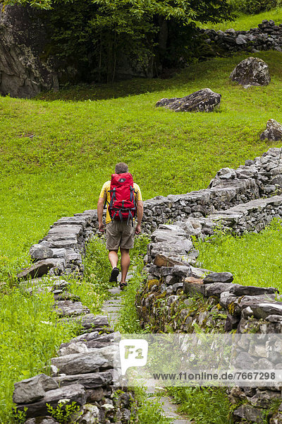 Ein Mann wandert entlang einer Mulattiera bei Sabbione  Val Bavona  Valle Maggia  Tessin  Schweiz  Europa