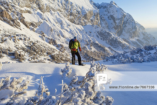 Ein Mann beim Schneeschuhwandern  Schneeschuhtour am Torrener Joch  Grenze Salzburg - Berchtesgaden  Blick zum Hohen Brett  Berchtesgadener Land  Bayern  Deutschland  Europa
