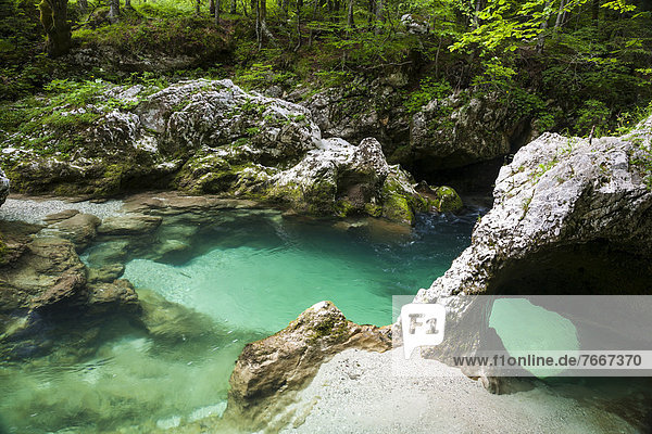 Sloncek - der Elefant natürliche Formation in der Mostnica-Klamm Nationalpark Triglav Slowenien Europa