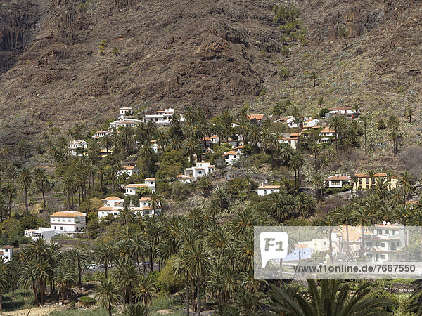 Casas de la Seda  Valle Gran Rey valley