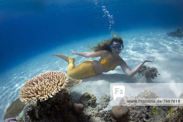 Mermaid  girl wearing a mermaid costume swimming in the shallow water of a lagoon  underwater