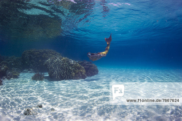 Meerjungfrau  junge Frau im Meerjungfrauenkostüm taucht im flachen Wasser einer Lagune
