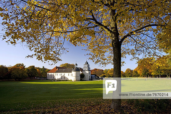 Das Schloss Martfeld im Herbst  Schwelm  Ennepe-Ruhr-Kreis  Nordrhein-Westfalen  Deutschland  Europa  ÖffentlicherGrund