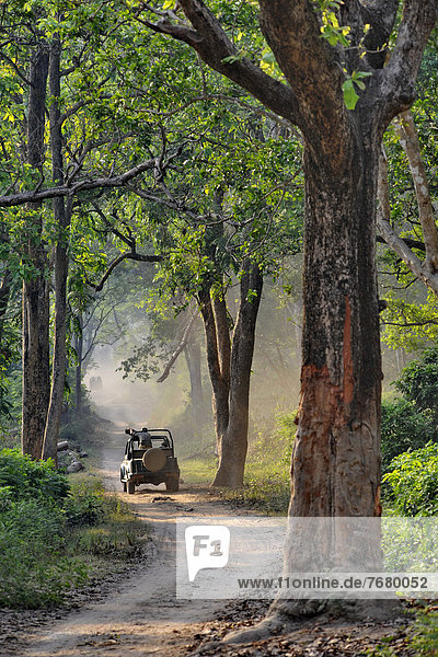 Verkehr  fahren  Fernverkehrsstraße  Wald  Indien  mitfahren