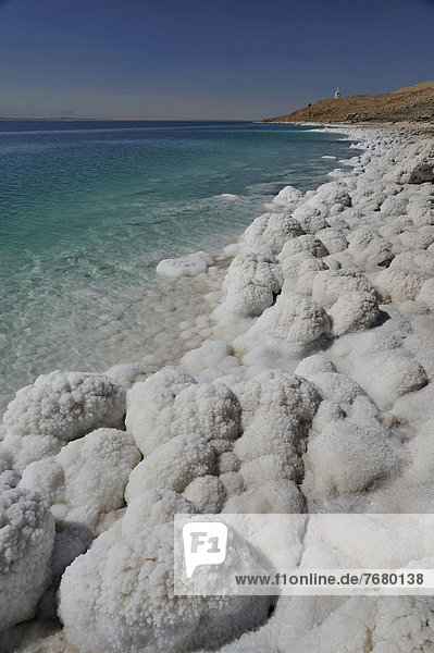 Jordan  Dead Sea  salt formations on the coast                                                                                                                                                          