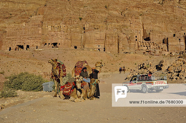 Jordan  Petra archeological site  guides on camels                                                                                                                                                      