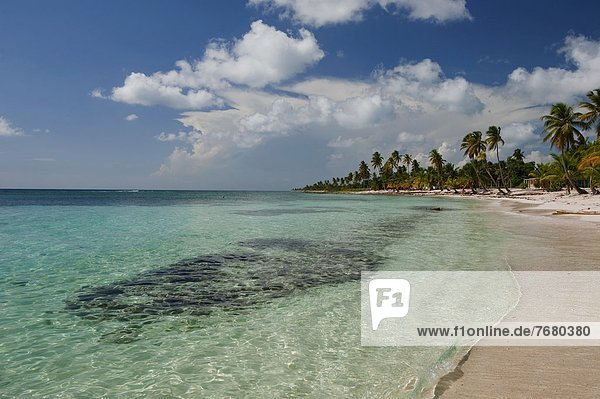Dominican Republic  national Park de Este  Isla Sahona  beach with palms                                                                                                                                
