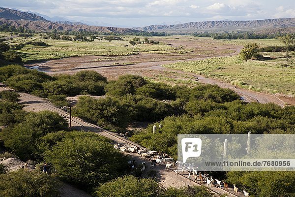 Landscape of the Quebrada de Humahuaca  UNESCO World Heritage Site  Jujuy Province  Argentina  South America