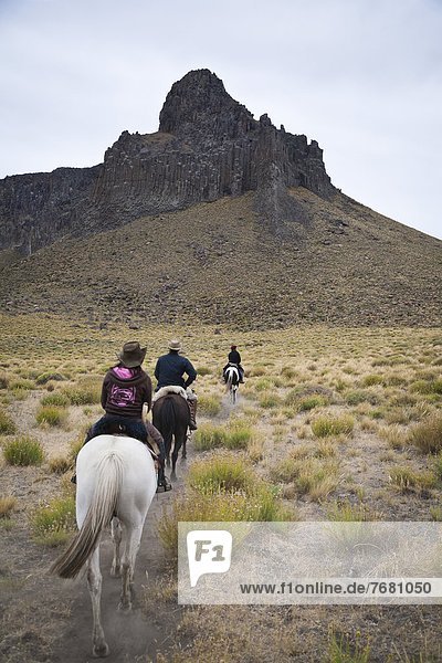 Horseback riding  Patagonia  Argentina  South America