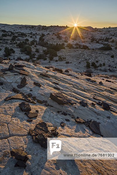 Vereinigte Staaten von Amerika  USA  über  Sonnenaufgang  Lava  Nordamerika  Stück  Navajo  Sandstein  Utah