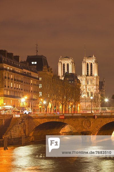 The Ile de la Cite and Notre Dame cathedral at night  Paris  France  Europe