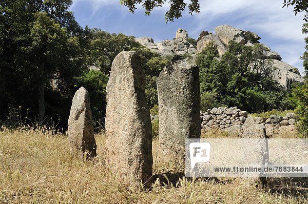 Jungsteinzeit  Neolithikum  Spätsteinzeit  Frankreich  Europa  bündig  bauen  Korsika