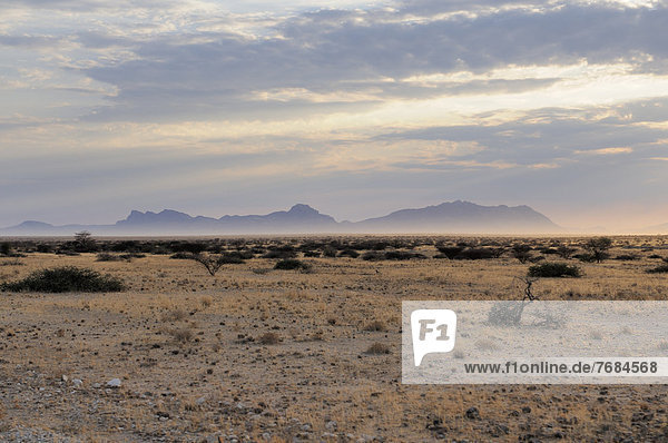 Landscape near Spitzkoppe  morning mist  Namib Desert  Namibia  Africa