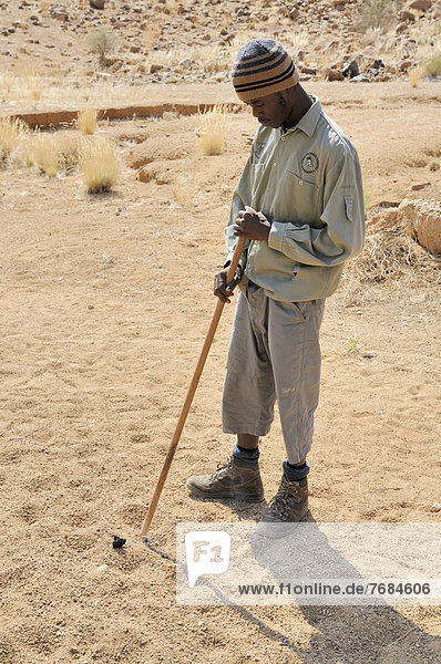 Junger Ranger Pfad zur Weißen Dame in der Tsisab-Schlucht Brandberg Damaraland Namibia Afrika