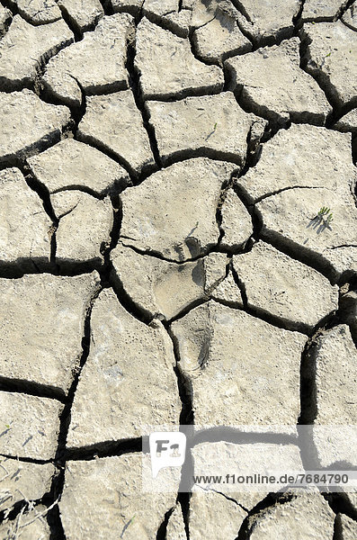 Footprint in dry  cracked mud in the Wadden