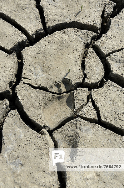 Footprint in dry  cracked mud in the Wadden