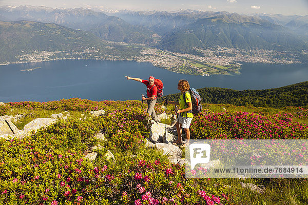 Man and a woman hiking amidst blooming rhododendron on Monte Covreto  overlooking lake Lago Maggiore towards the Maggia delta  Ascona and Locarno  Ticino  Switzerland  Europe