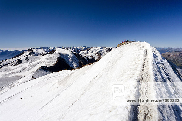 Bergsteiger auf dem Gipfel des Monte Cevedale  hinten der Monte Vioz  Südtirol  Italien  Europa