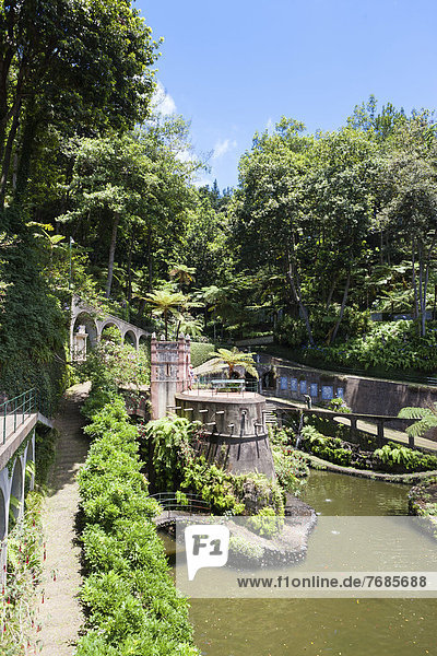 Botanischer Garten Botanische Bauernhof Hof Hofe Boden Fussboden Fussboden Madeira