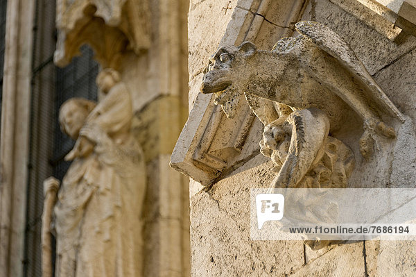 Skulptur eines Drachens an der Fassade  Dom Kathedrale St. Peter  Regensburg  Oberpfalz  Bayern  Deutschland  Europa