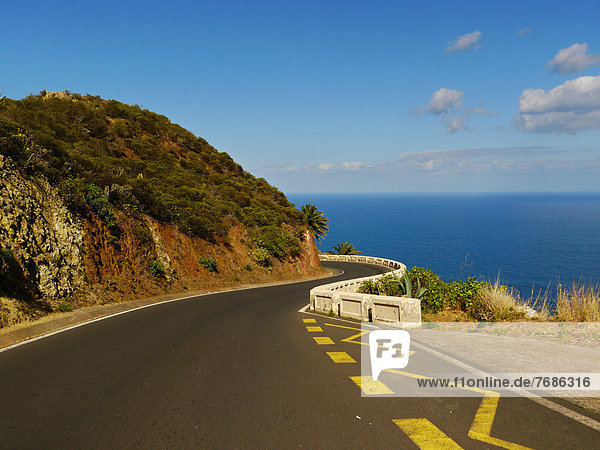 Road at Taganana  Tenerife  Canary Islands  Spain  Europe
