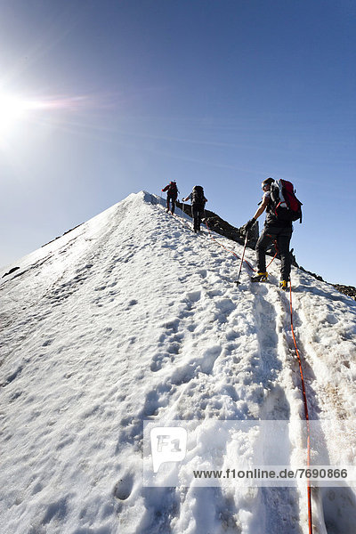 Wanderer auf dem Gipfelgrat auf dem Niederjochferner  Südtirol  Italien  Europa