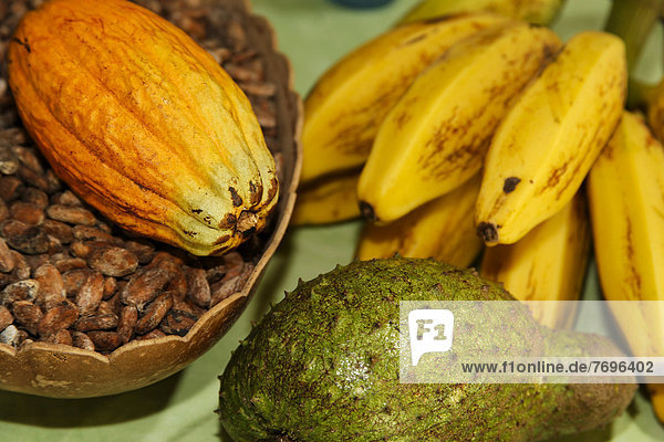Kakaofrüchte  Bananen und Guanabana oder Corossol  Guadeloupe  Kleine Antillen  Karibik