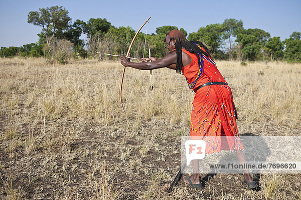 Krieger der Massai in traditioneller Kleidung beim Bogenschießen mit Pfeil und Bogen